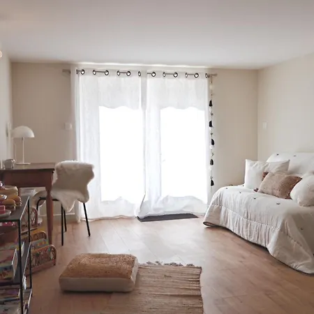 La Pause Du Savoir Albigeois - Garage - Climatisation - Centre Semesterbostad *