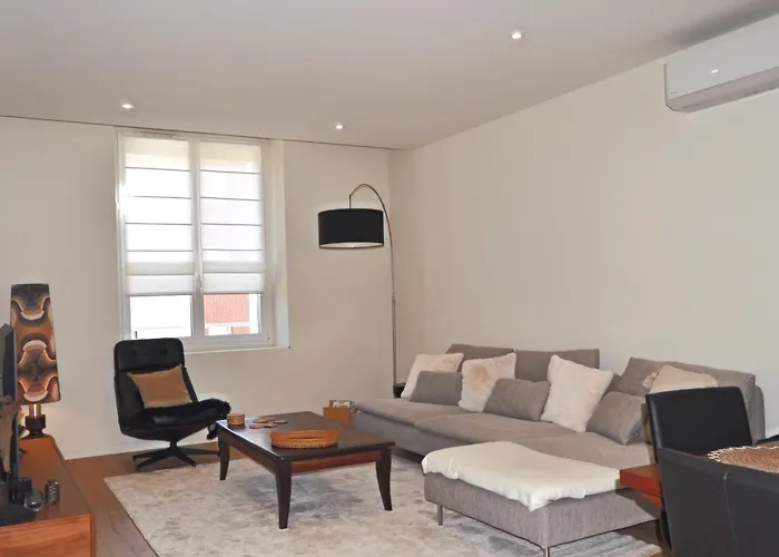 La Pause Du Savoir Albigeois - Garage - Climatisation - Centre *