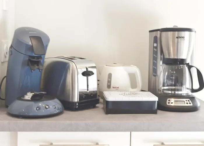 La Pause Du Savoir Albigeois - Garage - Climatisation - Centre * Albi