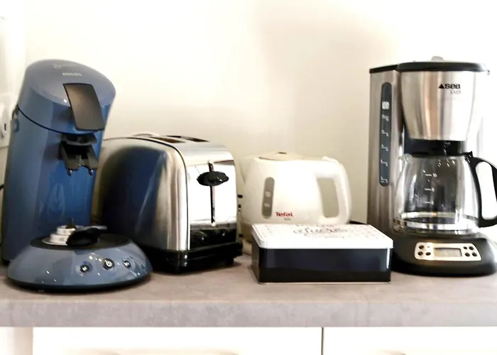 La Pause Du Savoir Albigeois - Garage - Climatisation - Centre Сasa de vacaciones