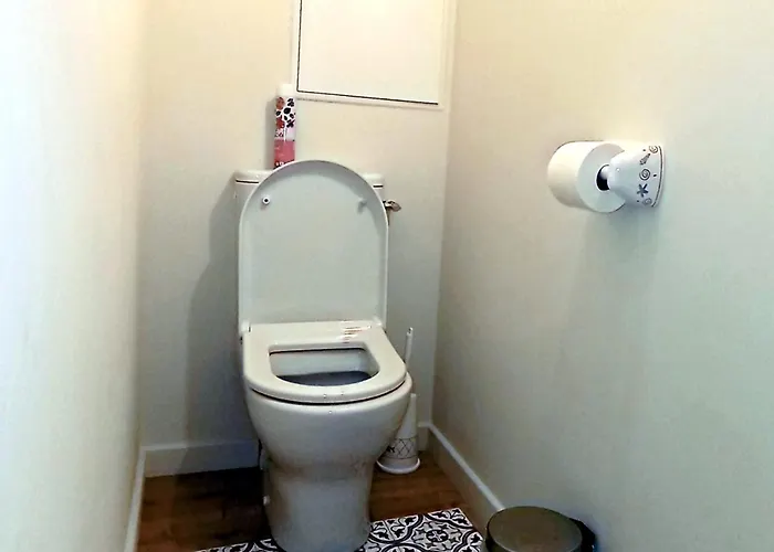 Сasa de vacaciones La Pause Du Savoir Albigeois - Garage - Climatisation - Centre Albi