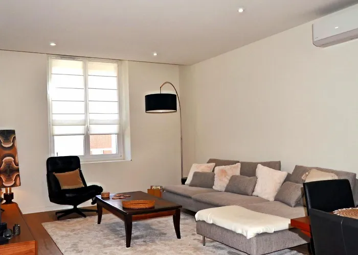 La Pause Du Savoir Albigeois - Garage - Climatisation - Centre 別荘 *