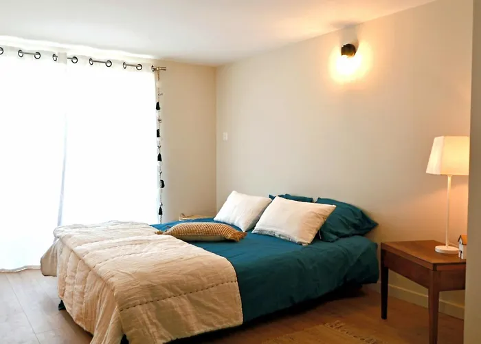 La Pause Du Savoir Albigeois - Garage - Climatisation - Centre *